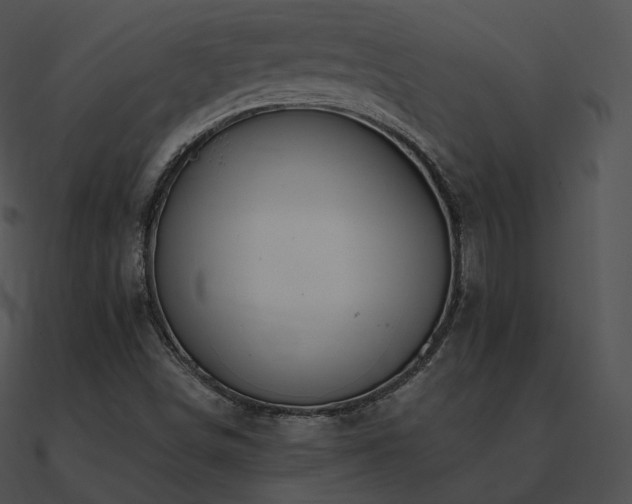 X0000090971498200708021426