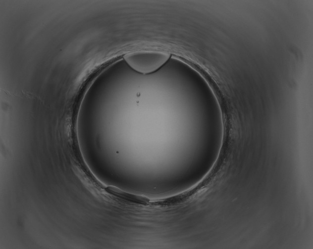 X0000090971499200708021426