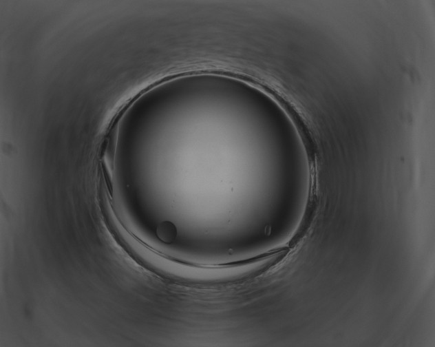 X0000090971500200708021426