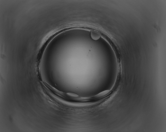 X0000090971501200708021426