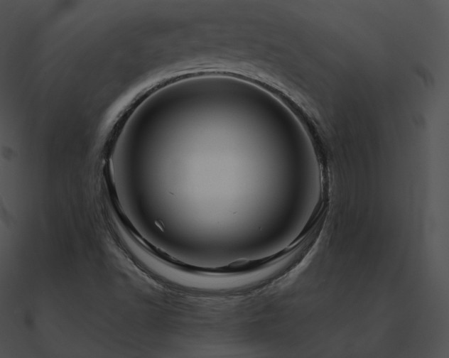 X0000090971502200708021426