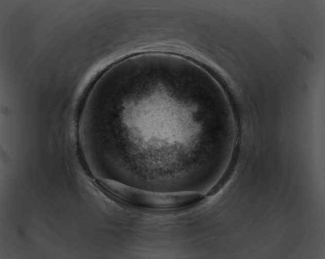 X0000090971506200708021426