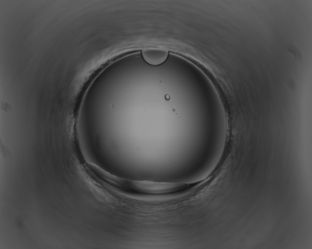 X0000090971507200708021426