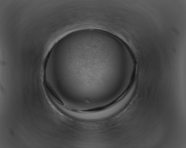 X0000090971508200708021426