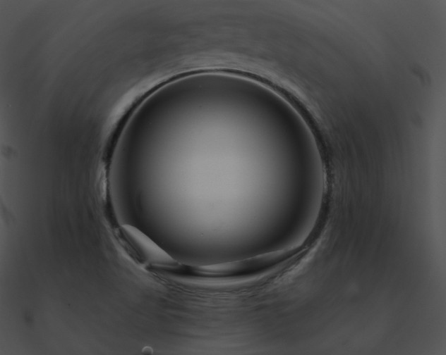 X0000090971509200708021426