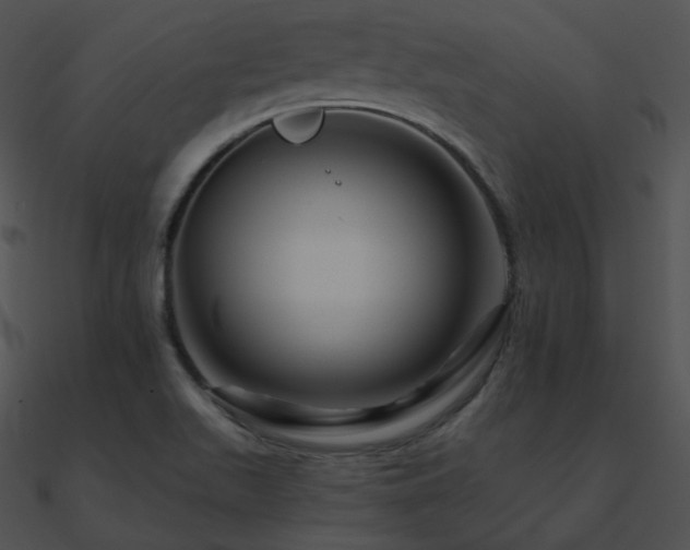 X0000090971511200708021426