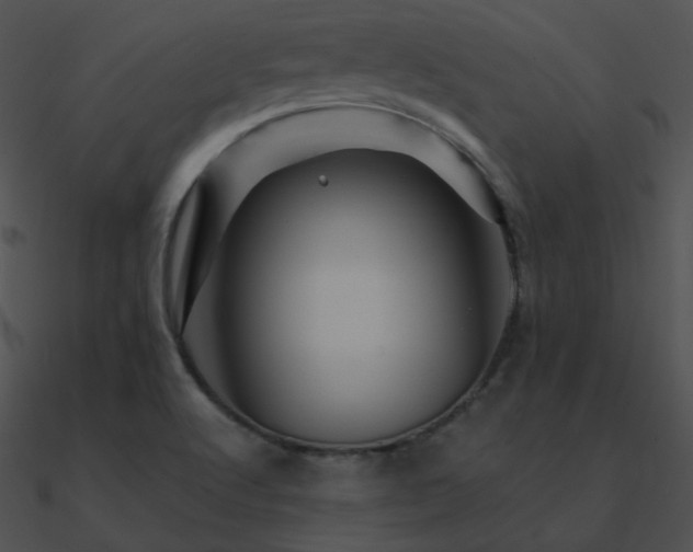 X0000090971512200708021426