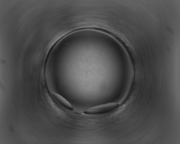 X0000090971513200708021426