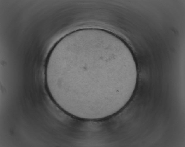 X0000090971514200708021426