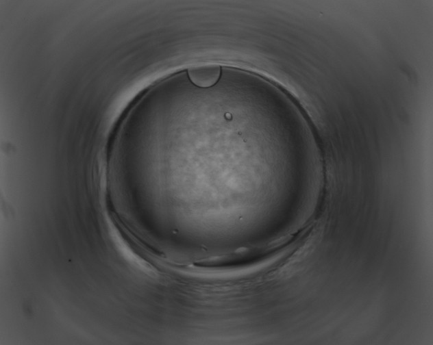 X0000090971515200708021426