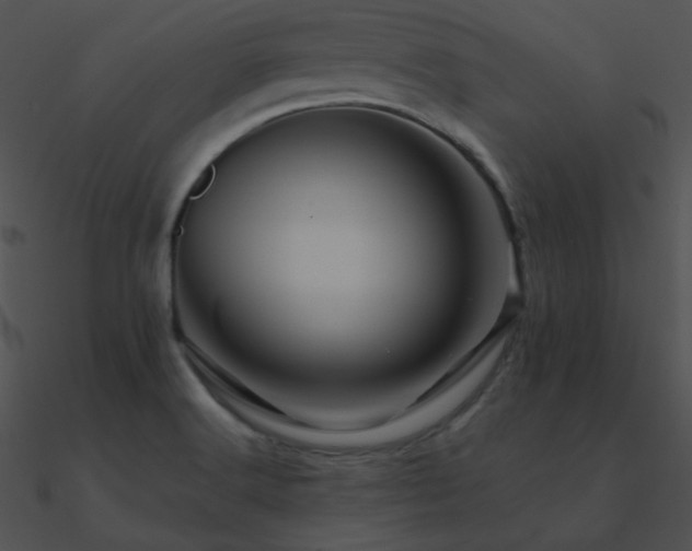 X0000090971516200708021426