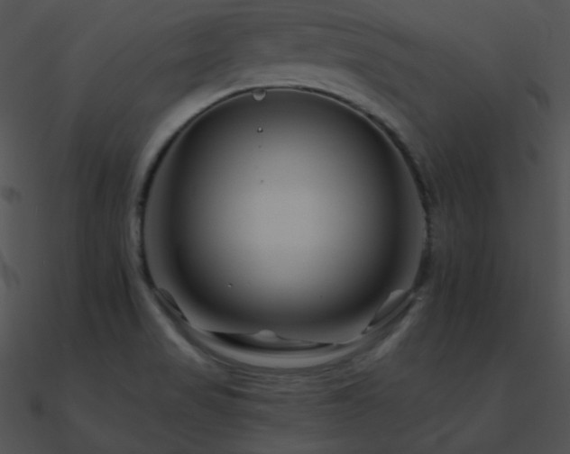 X0000090971517200708021426