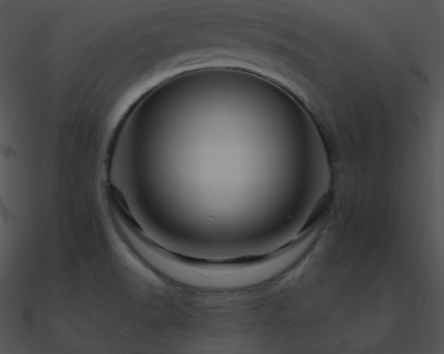 X0000090971518200708021426