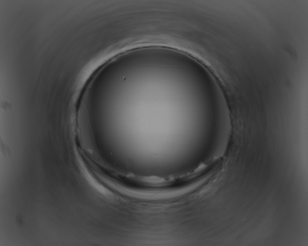 X0000090971519200708021426