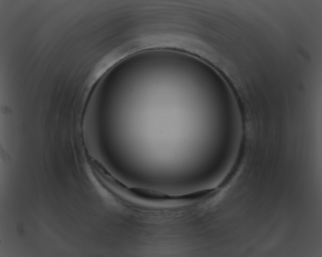 X0000090971521200708021426