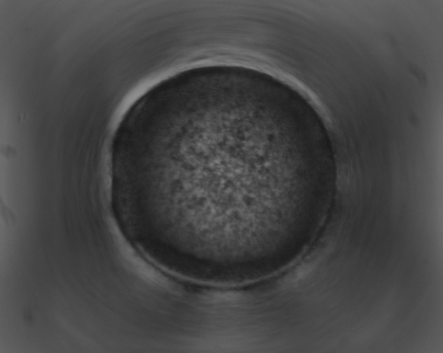 X0000090971522200708021426