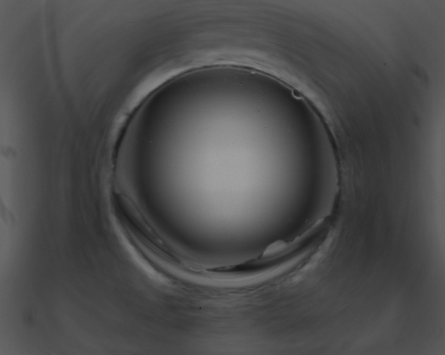 X0000090971525200708021426