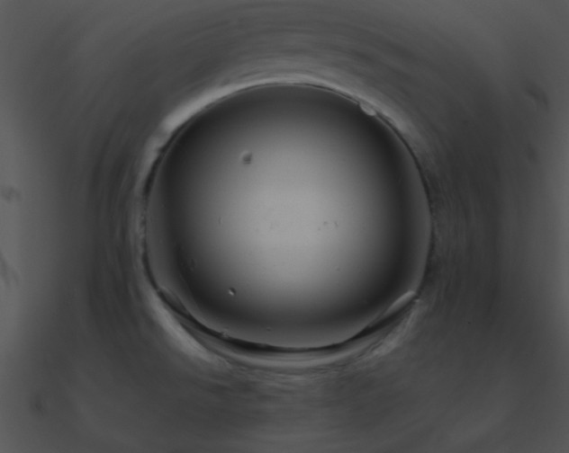 X0000090971526200708021426