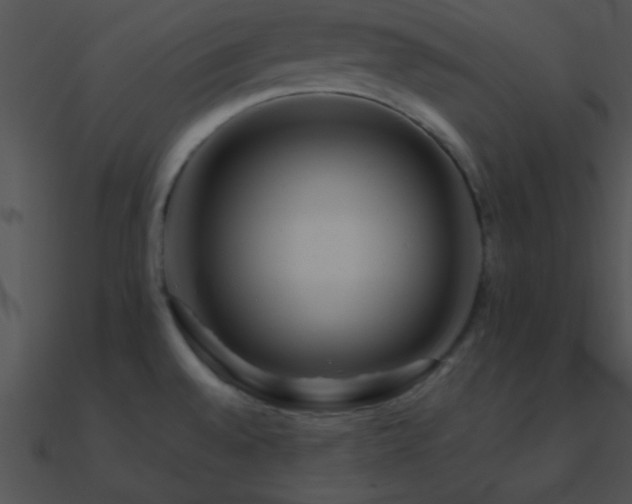 X0000090971528200708021426