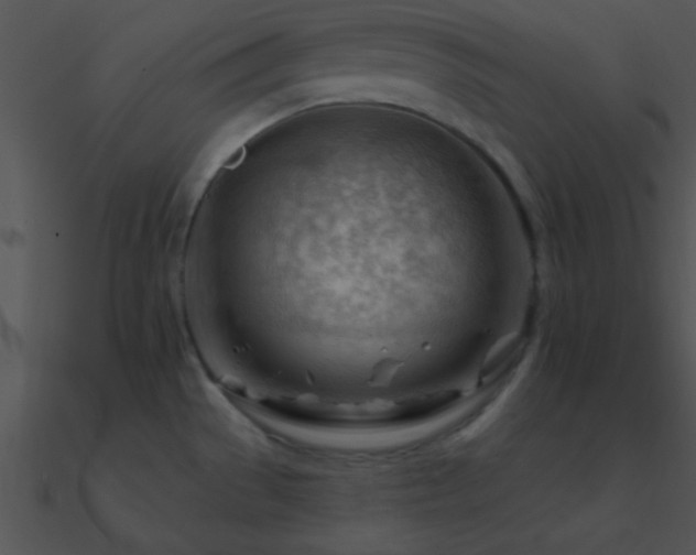 X0000090971529200708021426