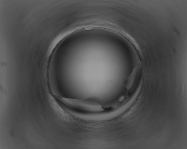 X0000090971530200708021426