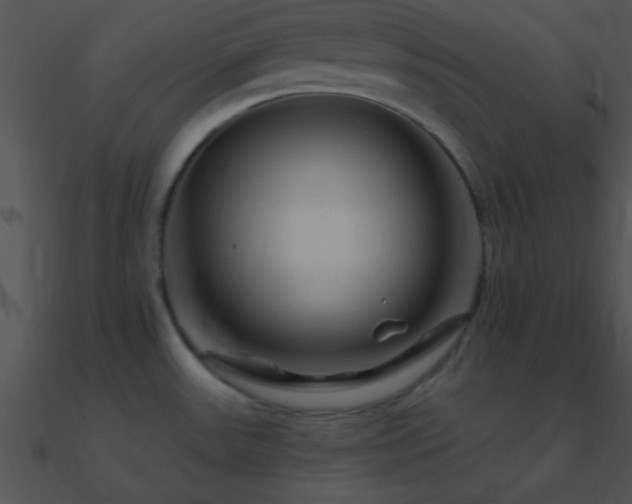 X0000090971531200708021426