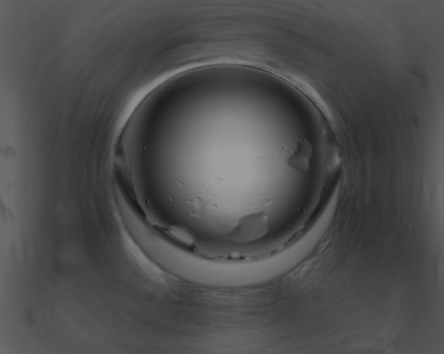 X0000090971532200708021426