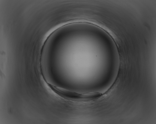 X0000090971534200708021426