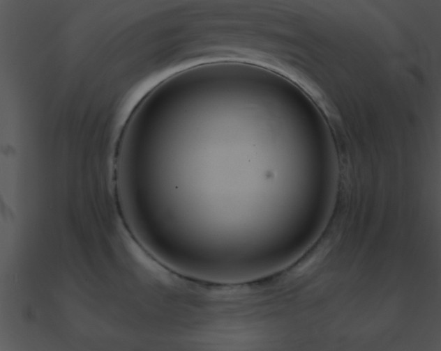 X0000090971535200708021426