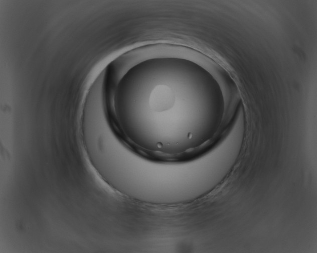 X0000090971536200708021426