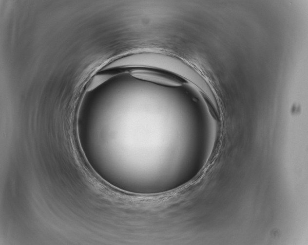 X0000090970001200708091446