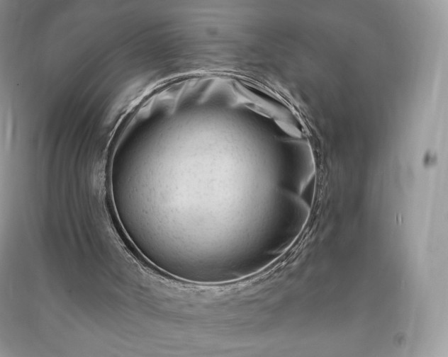 X0000090970002200708091446