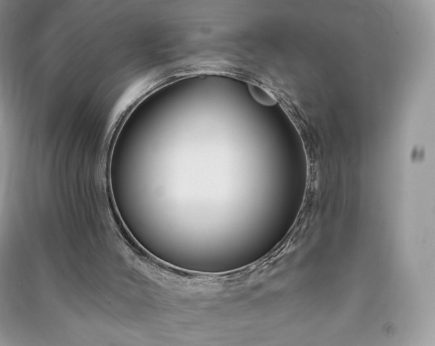 X0000090970004200708091446