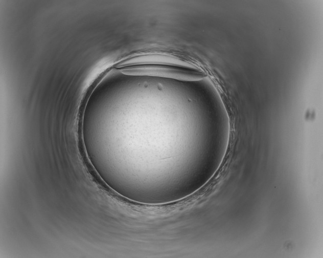 X0000090970006200708091446