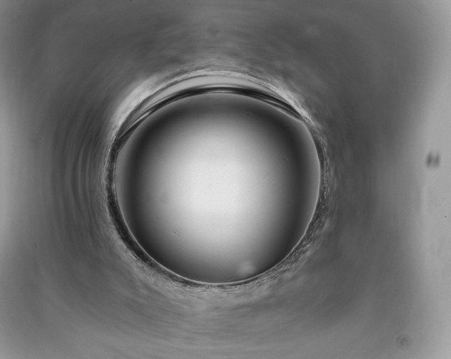 X0000090970007200708091446