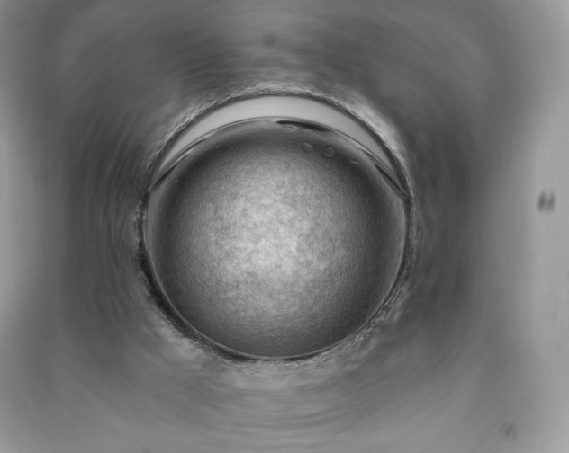 X0000090970009200708091446