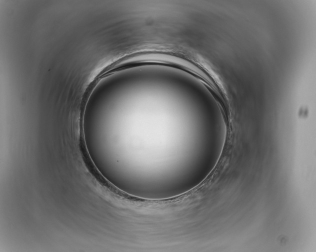 X0000090970011200708091446