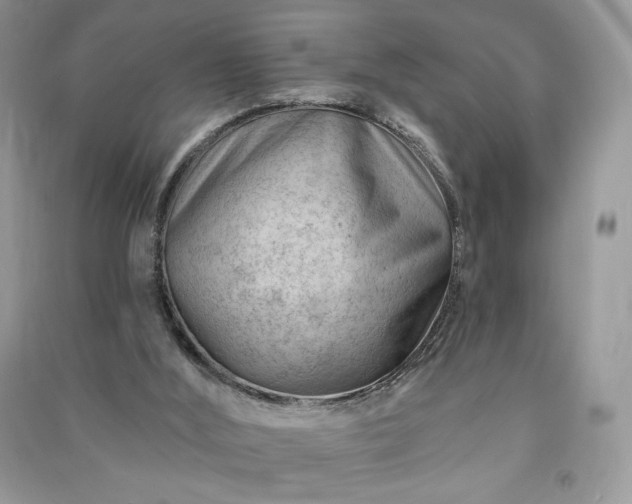 X0000090970012200708091446