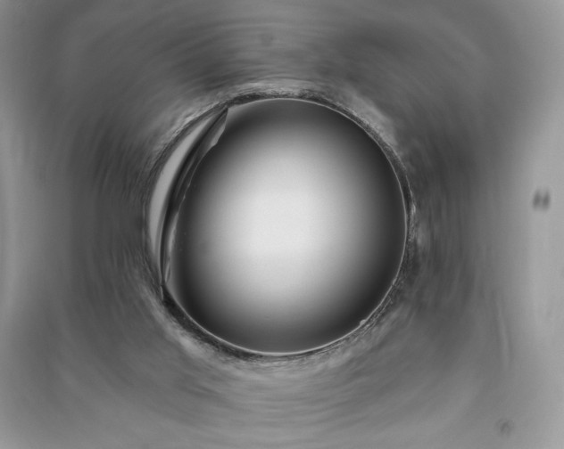 X0000090970013200708091446