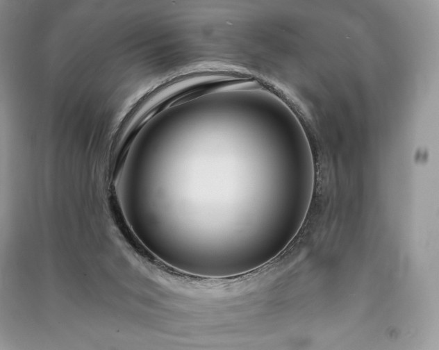 X0000090970015200708091446