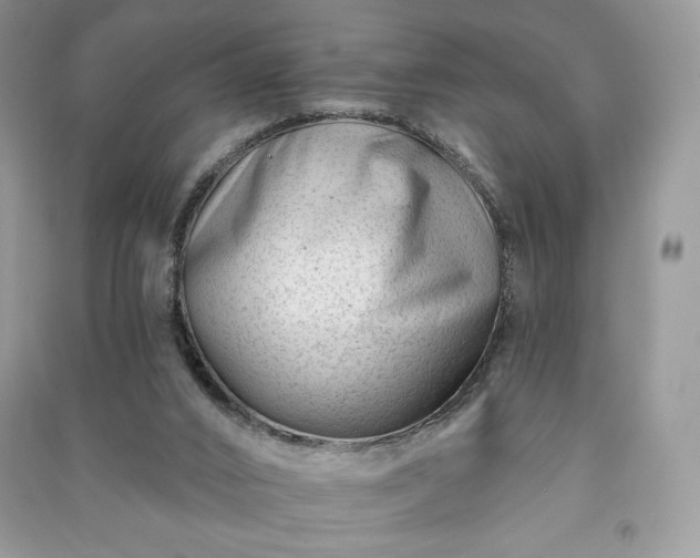 X0000090970016200708091446