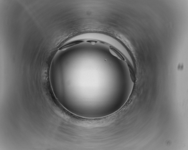 X0000090970017200708091446