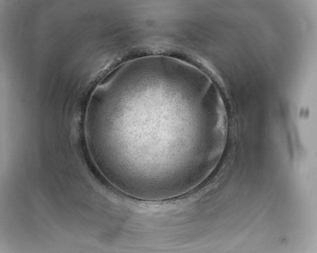 X0000090970018200708091446