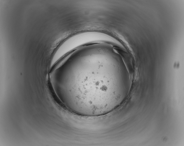 X0000090970019200708091446