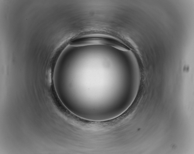 X0000090970020200708091446