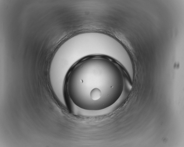 X0000090970021200708091446