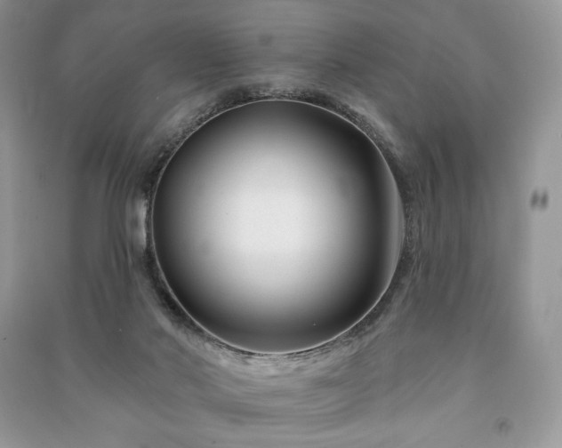 X0000090970022200708091446