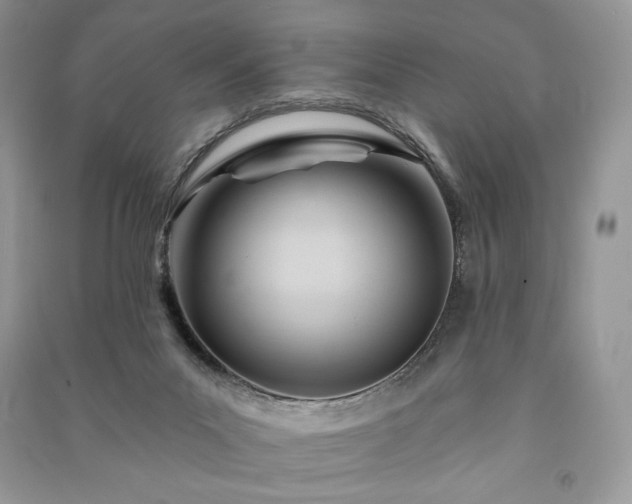 X0000090970023200708091446