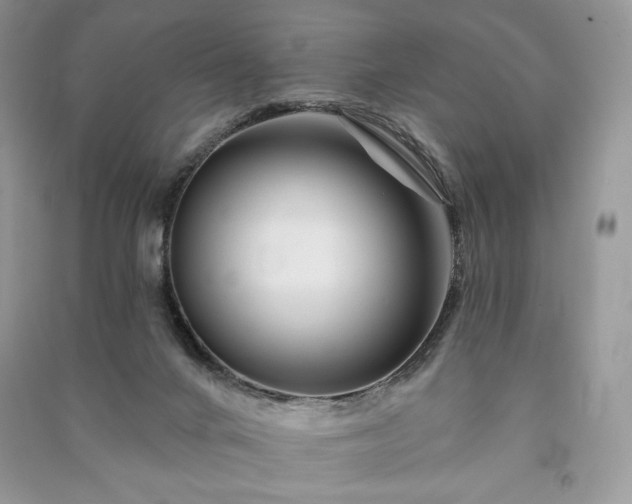 X0000090970024200708091446