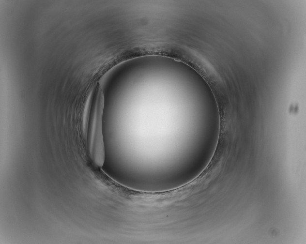 X0000090970025200708091446